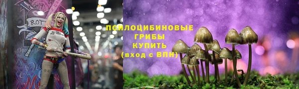 меф Новозыбков