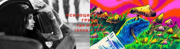МДПВ Няндома