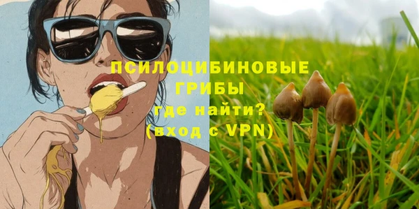 мяу мяу мука Новодвинск