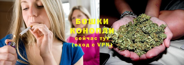 мяу мяу мука Новодвинск